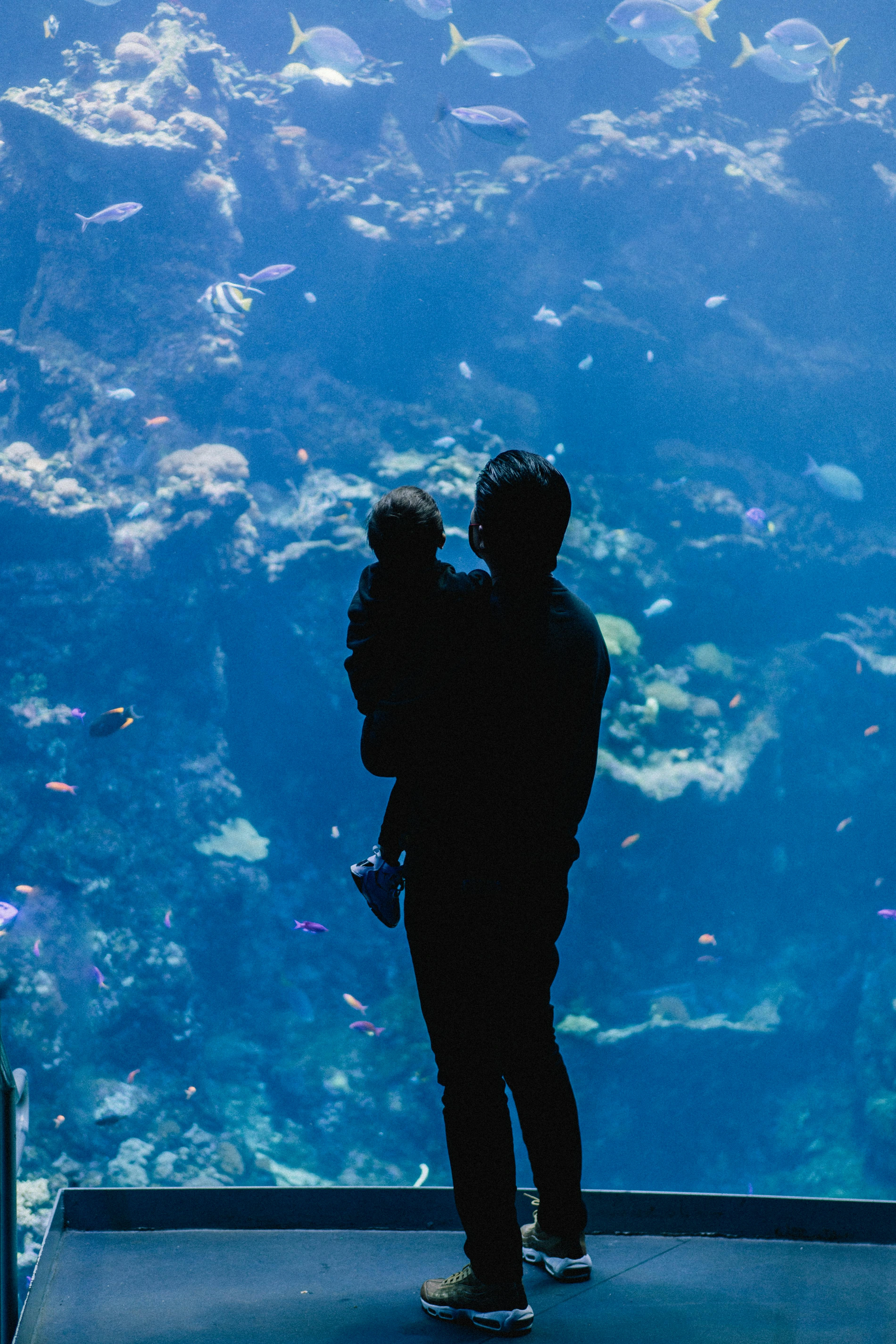 A man holding his child infront of large aquarium